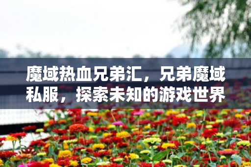 魔域热血兄弟汇,兄弟魔域私服,探索未知的游戏世界 魔域热血兄弟汇,兄弟魔域私服,探索未知的游戏世界