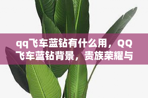 qq飞车蓝钻有什么用，QQ飞车蓝钻背景，贵族荣耀与游戏特权的多维解读