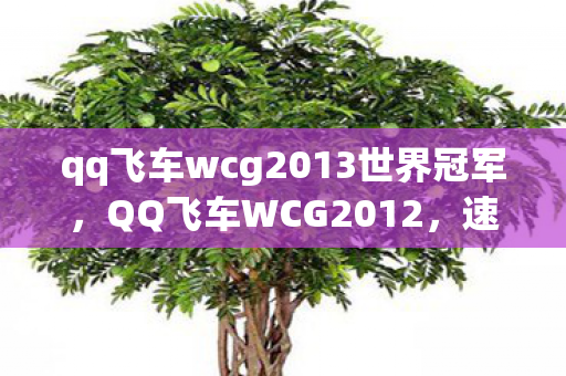 qq飞车wcg2013世界冠军，QQ飞车WCG2012，速度与激情的盛宴