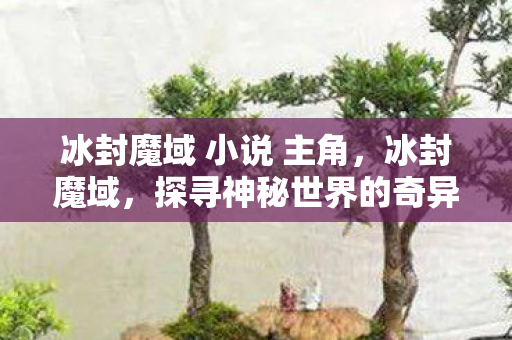 冰封魔域 小说 主角，冰封魔域，探寻神秘世界的奇异之旅