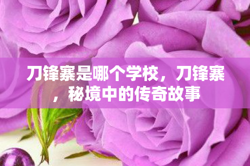 刀锋寨是哪个学校，刀锋寨，秘境中的传奇故事