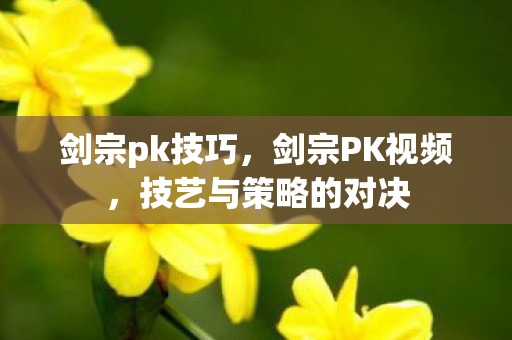 剑宗pk技巧，剑宗PK视频，技艺与策略的对决