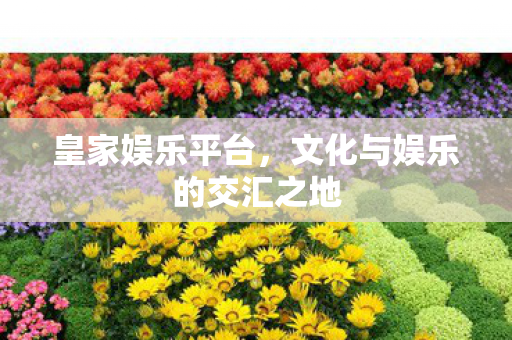 皇家娱乐平台，文化与娱乐的交汇之地