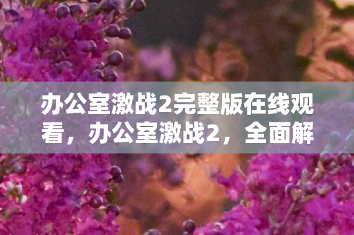 办公室激战2完整版在线观看，办公室激战2，全面解析与深度体验