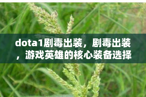 dota1剧毒出装，剧毒出装，游戏英雄的核心装备选择与搭配策略