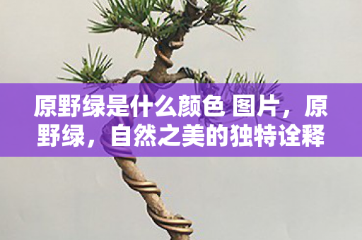 原野绿是什么颜色 图片，原野绿，自然之美的独特诠释