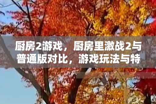 厨房2游戏，厨房里激战2与普通版对比，游戏玩法与特色的深度剖析