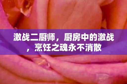 激战二厨师，厨房中的激战，烹饪之魂永不消散