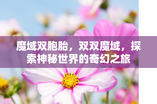 魔域双胞胎，双双魔域，探索神秘世界的奇幻之旅