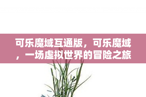 可乐魔域互通版，可乐魔域，一场虚拟世界的冒险之旅