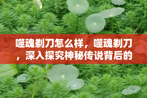 噬魂剃刀怎么样，噬魂剃刀，深入探究神秘传说背后的真相