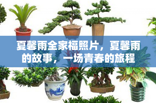 夏馨雨全家福照片，夏馨雨的故事，一场青春的旅程