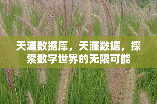 天涯数据库,天涯数据,探索数字世界的无限可能 天涯数据库,天涯数据,探索数字世界的无限可能