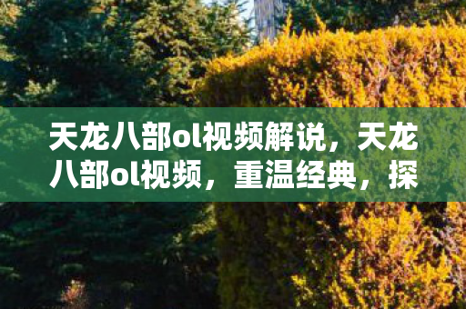 天龙八部ol视频解说，天龙八部ol视频，重温经典，探索武侠世界的新篇章