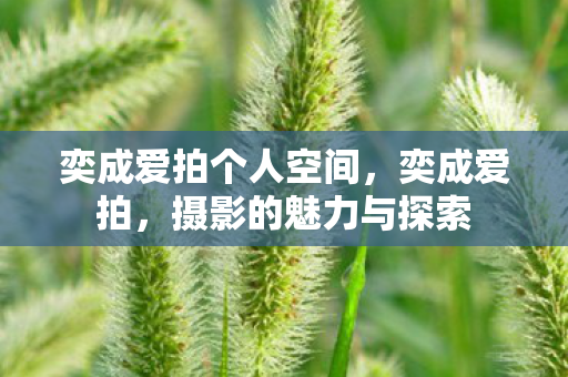 奕成爱拍个人空间，奕成爱拍，摄影的魅力与探索