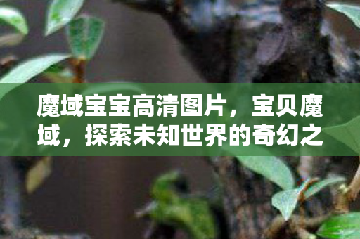 魔域宝宝高清图片,宝贝魔域,探索未知世界的奇幻之旅 魔域宝宝高清图片,宝贝魔域,探索未知世界的奇幻之旅