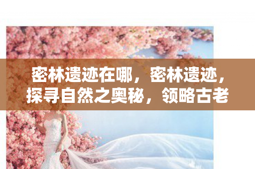 密林遗迹在哪，密林遗迹，探寻自然之奥秘，领略古老文明的印记