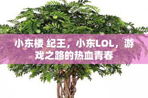 小东楼 纪王，小东LOL，游戏之路的热血青春