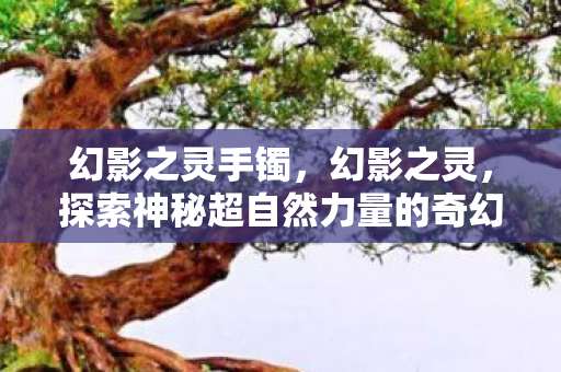 幻影之灵手镯,幻影之灵,探索神秘超自然力量的奇幻之旅 幻影之灵手镯,幻影之灵,探索神秘超自然力量的奇幻之旅