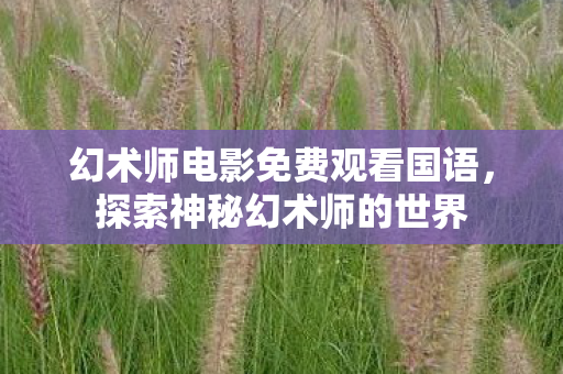 幻术师电影免费观看国语,探索神秘幻术师的世界 幻术师电影免费观看国语,探索神秘幻术师的世界