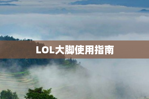 LOL大脚使用指南