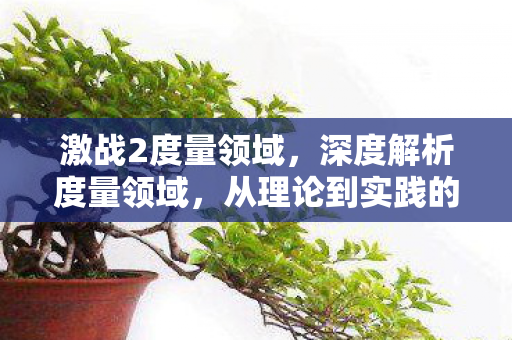 激战2度量领域，深度解析度量领域，从理论到实践的全面探讨
