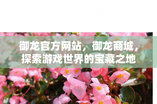 御龙官方网站，御龙商城，探索游戏世界的宝藏之地