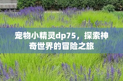 宠物小精灵dp75，探索神奇世界的冒险之旅