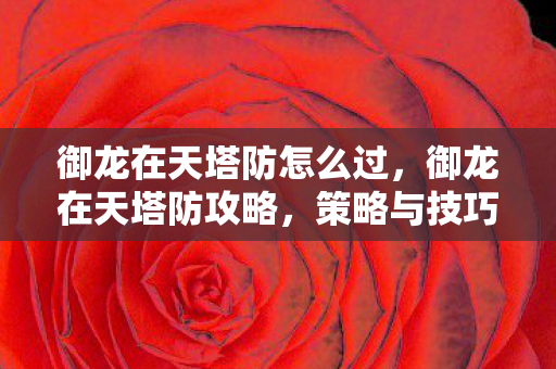 御龙在天塔防怎么过，御龙在天塔防攻略，策略与技巧详解