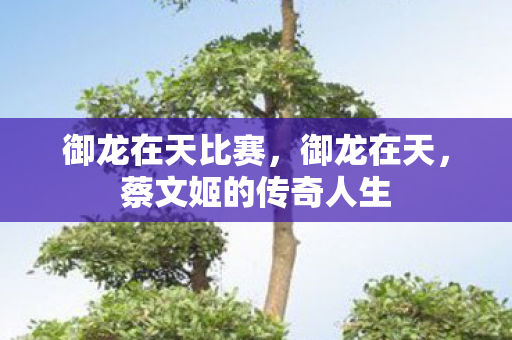 御龙在天比赛，御龙在天，蔡文姬的传奇人生