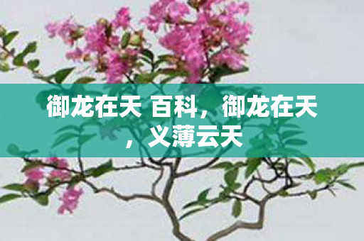 御龙在天 百科，御龙在天，义薄云天