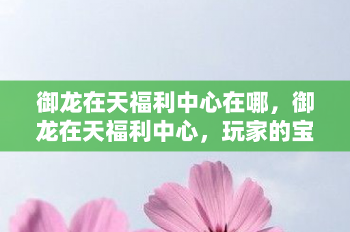 御龙在天福利中心在哪，御龙在天福利中心，玩家的宝藏之地