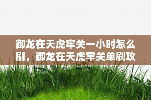 御龙在天虎牢关一小时怎么刷,御龙在天虎牢关单刷攻略,挑战极限,独步天下! 御龙在天虎牢关一小时怎么刷,御龙在天虎牢关单刷攻略,挑战极限,独步天下!