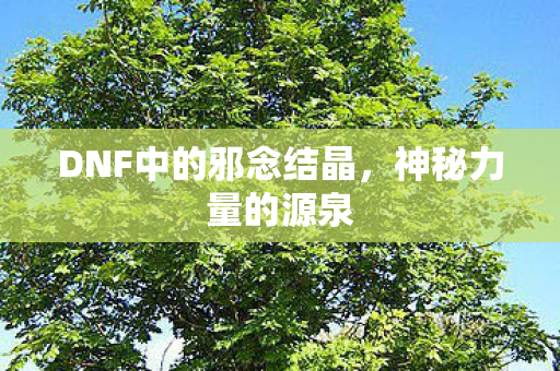 DNF中的邪念结晶，神秘力量的源泉