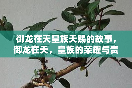 御龙在天皇族天赐的故事，御龙在天，皇族的荣耀与责任