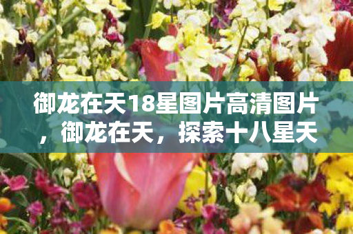 御龙在天18星图片高清图片，御龙在天，探索十八星天尊的神秘面纱