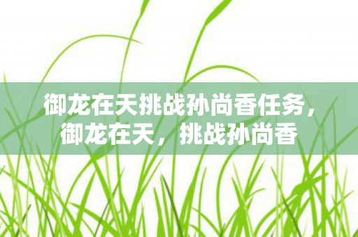 御龙在天挑战孙尚香任务，御龙在天，挑战孙尚香