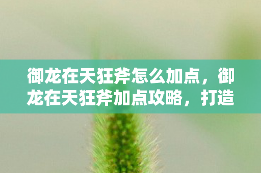 御龙在天狂斧怎么加点,御龙在天狂斧加点攻略,打造无敌战士的秘诀 御龙在天狂斧怎么加点,御龙在天狂斧加点攻略,打造无敌战士的秘诀