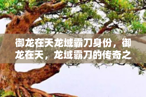 御龙在天龙域霸刀身份,御龙在天,龙域霸刀的传奇之旅 御龙在天龙域霸刀身份,御龙在天,龙域霸刀的传奇之旅