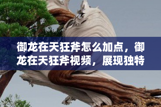 御龙在天狂斧怎么加点，御龙在天狂斧视频，展现独特魅力与战斗风采