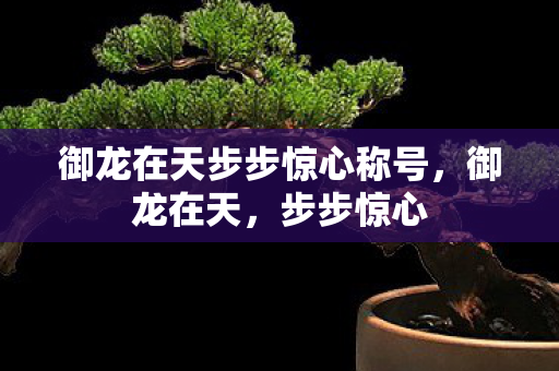 御龙在天步步惊心称号，御龙在天，步步惊心