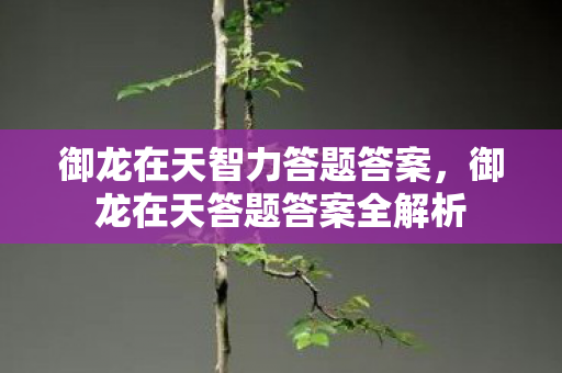 御龙在天智力答题答案，御龙在天答题答案全解析