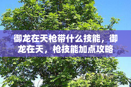 御龙在天枪带什么技能，御龙在天，枪技能加点攻略