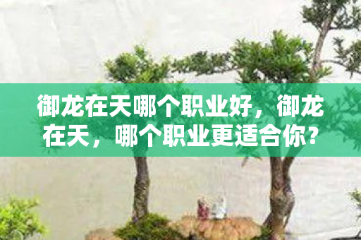 御龙在天哪个职业好，御龙在天，哪个职业更适合你？