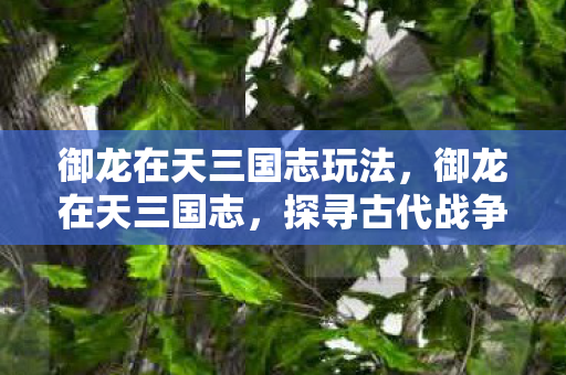 御龙在天三国志玩法，御龙在天三国志，探寻古代战争背后的智慧与策略