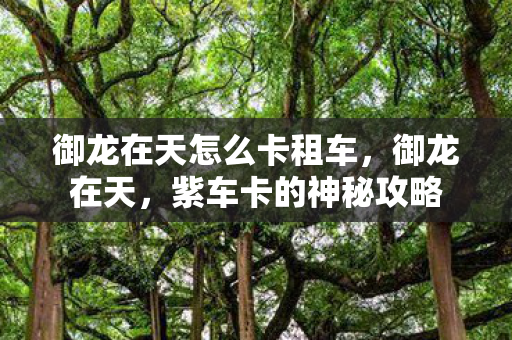 御龙在天怎么卡租车，御龙在天，紫车卡的神秘攻略