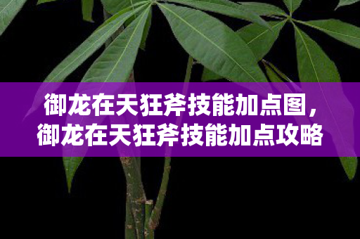 御龙在天狂斧技能加点图，御龙在天狂斧技能加点攻略，打造无敌战士的必经之路