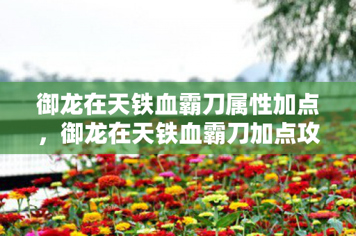 御龙在天铁血霸刀属性加点,御龙在天铁血霸刀加点攻略 御龙在天铁血霸刀属性加点,御龙在天铁血霸刀加点攻略