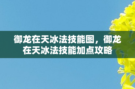 御龙在天冰法技能图，御龙在天冰法技能加点攻略