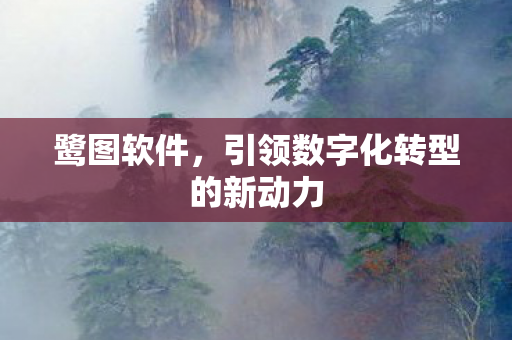 鹭图软件，引领数字化转型的新动力